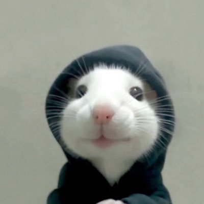 kriketot's profile picture. 