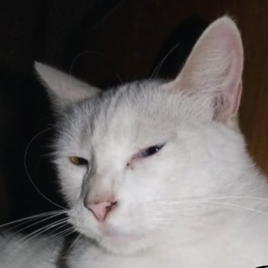 sseeker_freedom's profile picture. Seeking freedom is the journey of becoming and letting go of illusion, embracing truth, and choosing to live with purpose, courage, and authenticity. #Freedom