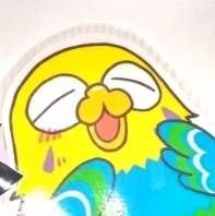 20↑/日常/ぬい服/aknk💮別邸1F/白猫プロジェクト/呪💍/お別れはブロ解で!本垢提示可/ 暗い事、愚痴も言います。自衛してください。