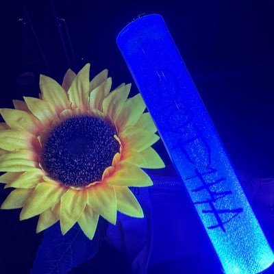 michael12pama's profile picture. SOPHIA大好きの北九州人