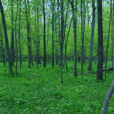 Job26_7's profile picture. 