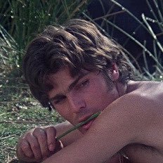 pornpasolini's profile picture. 