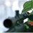 Profile image of Sniper