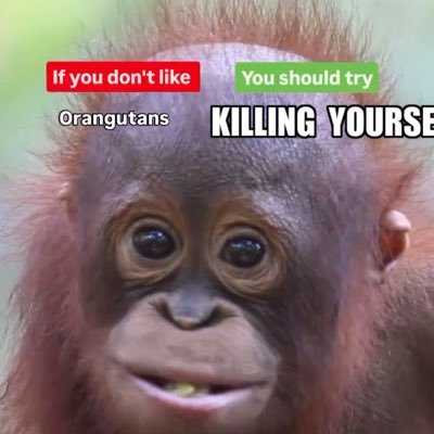 loreuderin's profile picture. i luv munkeys