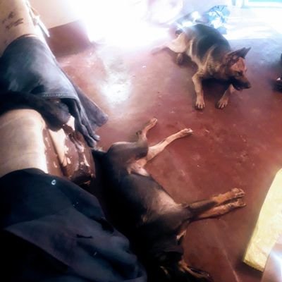 fredroidng's profile picture. Onlyladiescallmesexy😎