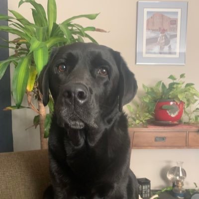 crzship's profile picture. Never outta gas, and I’m always on time