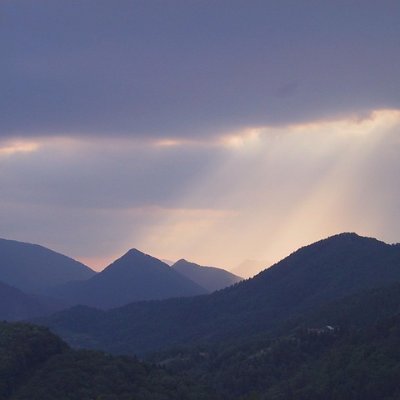 zetaarca50055's profile picture. 