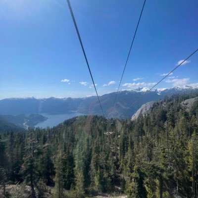 polisci1234's profile picture. 