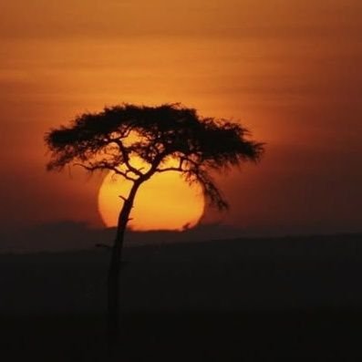 omaya_brian's profile picture. 