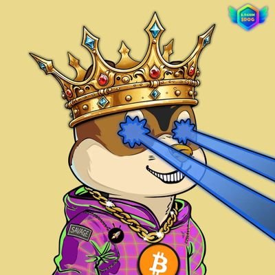 BTC, web3, Cardano & https://t.co/rJBUtjo8dD enthusiast. Will $WORK like a $DOG for $STUFF & $SNEK and store it with $IAG. #OGBookClub