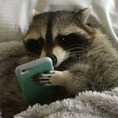 ssAm_ppA's profile picture. 달을 향해 쏴라 빗나가도 별이 될 것이다