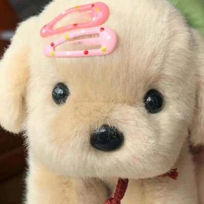 08IDID's profile picture. 세민이에 미친사람