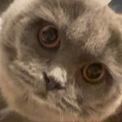 hamwasbad's profile picture. 22/🇯🇵/📣@gentlemates /#M8WIN ばぶばぷばぶ🐙