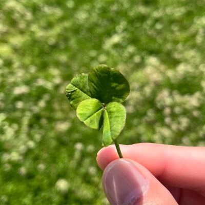 NoReN__14's profile picture. 競馬予想で目指せ回収率101%超え