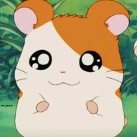 ぽまち (@0730kn28) 's Twitter Profile Photo