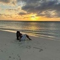 Allaufcea (@allaufcea47400) 's Twitter Profile