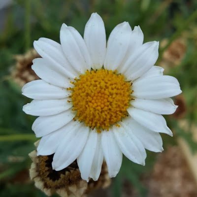 KMathSci's profile picture. 