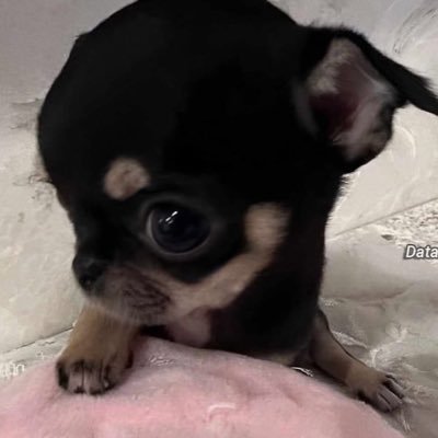 eszoek3's profile picture. ちょっと乳輪が大きいんですけど,強く吸ってもいいですか