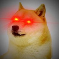 ELDOGLUCKY (@eltoulonnais83) 's Twitter Profile Photo ELDOGLUCKY (@eltoulonnais83) 's Twitter Profile Photo