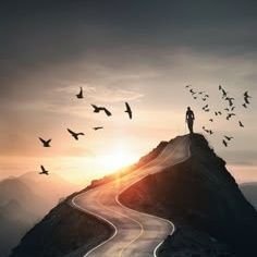 lemonzesty88's profile picture. פה בשביל תמונות של אוכל