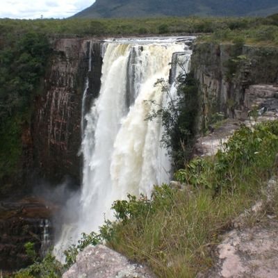 SanabriaLewis's profile picture. Amante de la naturaleza.
No comunosocialistas, ni plagas similares.