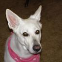 Dennis Doty - @dennisrdoty - Twitter