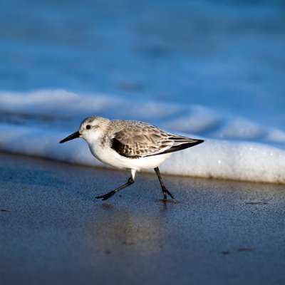 Faye962621's profile picture. 