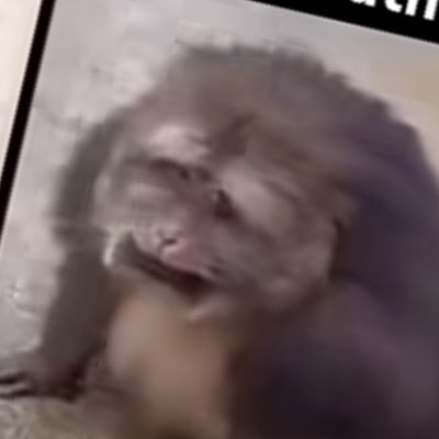 Adwitlipung's profile picture. hi