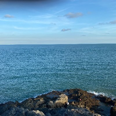 TiTrn09017000's profile picture. 