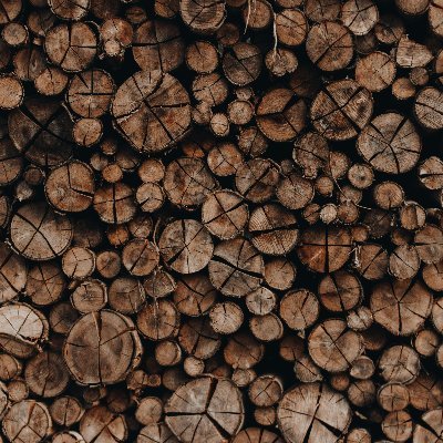 GriIcker67011's profile picture. 