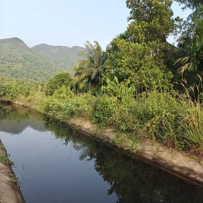 nellneelneelu's profile picture. 