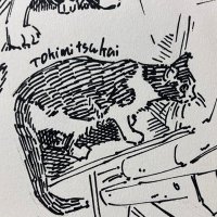 トキミツカイ|スケッチ・マンガ (@mrtokimitsu2) 's Twitter Profile Photo トキミツカイ|スケッチ・マンガ (@mrtokimitsu2) 's Twitter Profile Photo