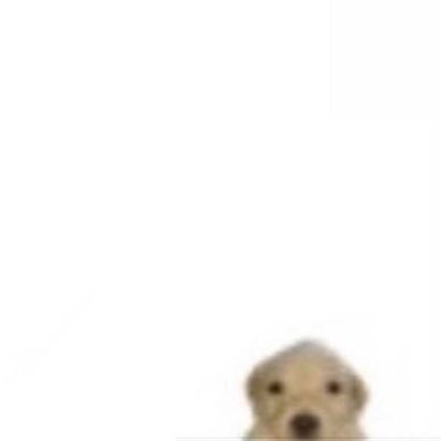 yabbub62332's profile picture. 20⬆️