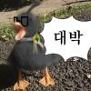🌿🕯RGB시며🕯🌿さんのプロフィール画像