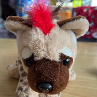 Ma_7__66's profile picture. バスケと野球がすき／ブロンコス #66 🐻‍❄️／レバンガ #21 ジョン・ハーラー／読売ジャイアンツの松本剛です。#9／ファイターズ／清宮フレンズ