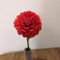 あんすぴ (@anspi_pf) 's Twitter Profile