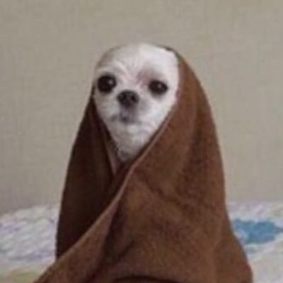 soner_kayn95963's profile picture. 