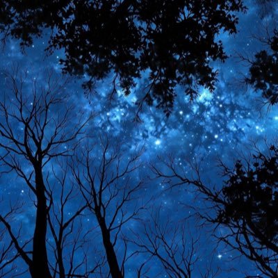 Sid0758's profile picture. Right winger 🤘 Tech, Stocks, Cryptos, Sports 👍 MSD is 💙💛