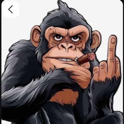 durant_002's profile picture. Web3    trading   crypto     blockchain