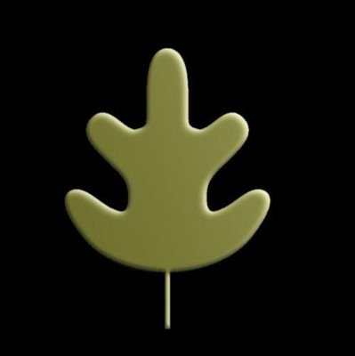 LitteraeNGO's profile picture. Litterae Foundation working for Youth and Women in sector of Education,Health and Livelihood.