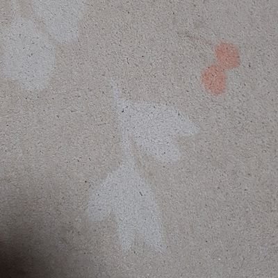 zuuuika's profile picture. 脳天の突起物ことアホ毛