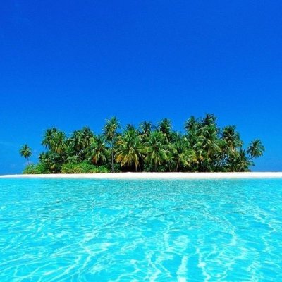 TravelViajeTrip's profile picture. ODYSEE: https://t.co/kpZ5NcHrnk
FACEBOOK: https://t.co/ZPl9cml204