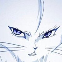 엘롱 (@owwellowww) 's Twitter Profile Photo 엘롱 (@owwellowww) 's Twitter Profile Photo