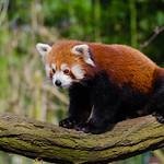 DidakaKoleff's profile picture. 