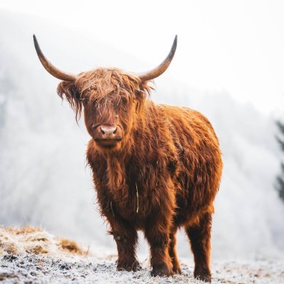 Maria6327296386's profile picture. 