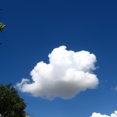 Brynlee259475's profile picture. 