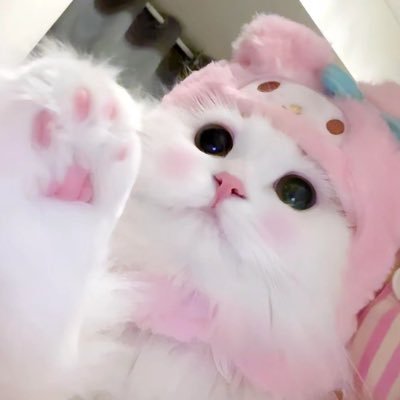 nyac2_'s profile picture. 有料@h1v_d