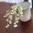 tule_nim's profile image
