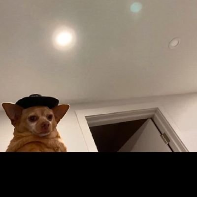 DavidJames79876's profile picture. 