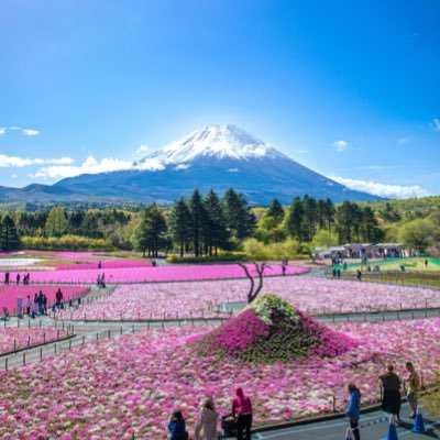 sea_green6's profile picture. 2025年万博情報を配信いたします。よろしくお願いいたします。